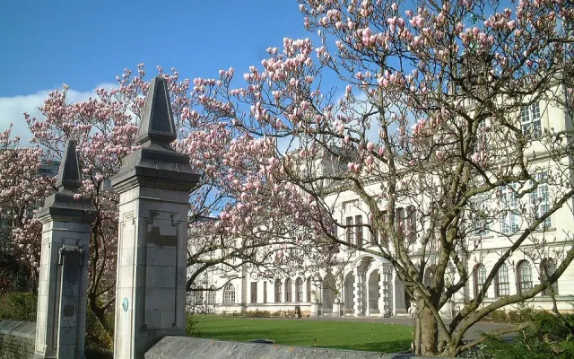 Cardiff University